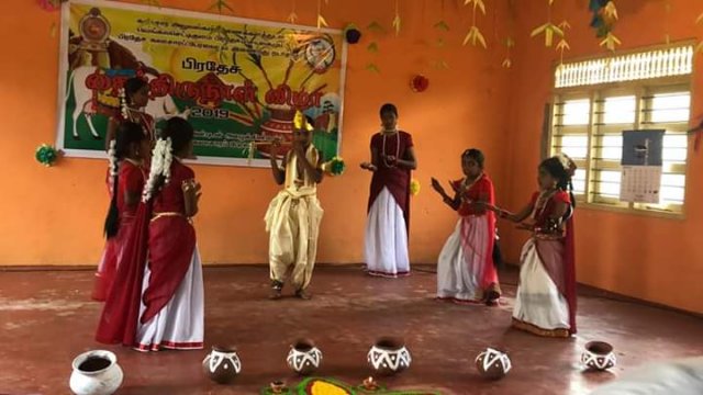 Thaipongal celebrations