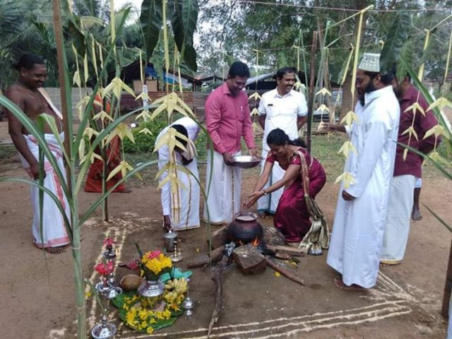 Thaipongal celebrations