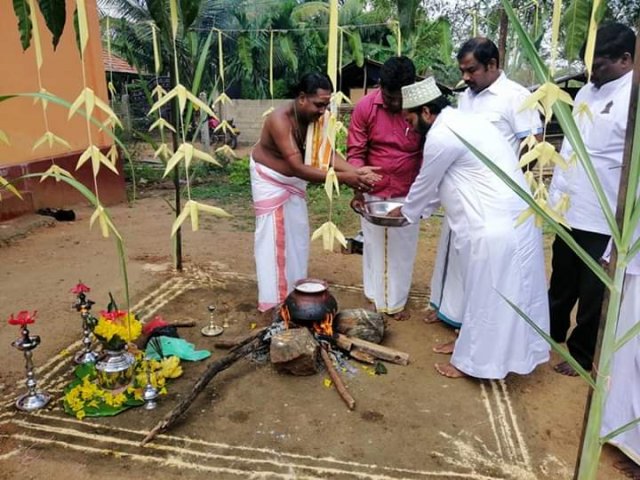 Thaipongal celebrations