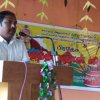 Thaipongal celebrations