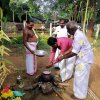 Thaipongal celebrations
