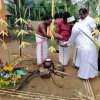 Thaipongal celebrations